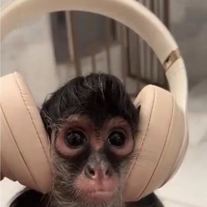 Meet your Posher, Kaitlyn